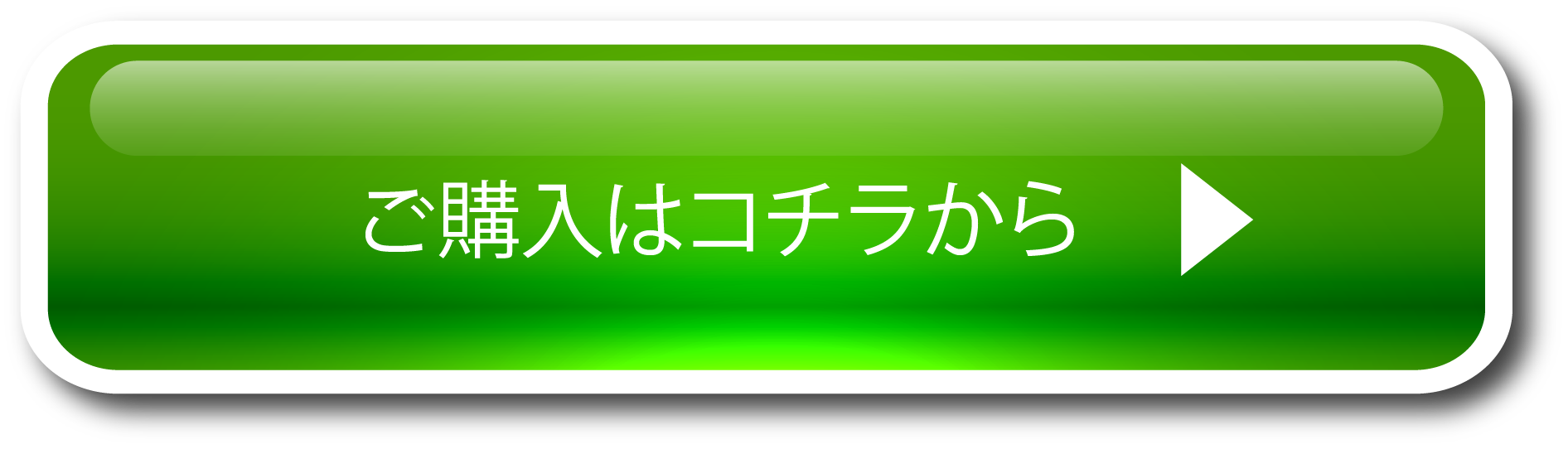 ご購入はコチラから